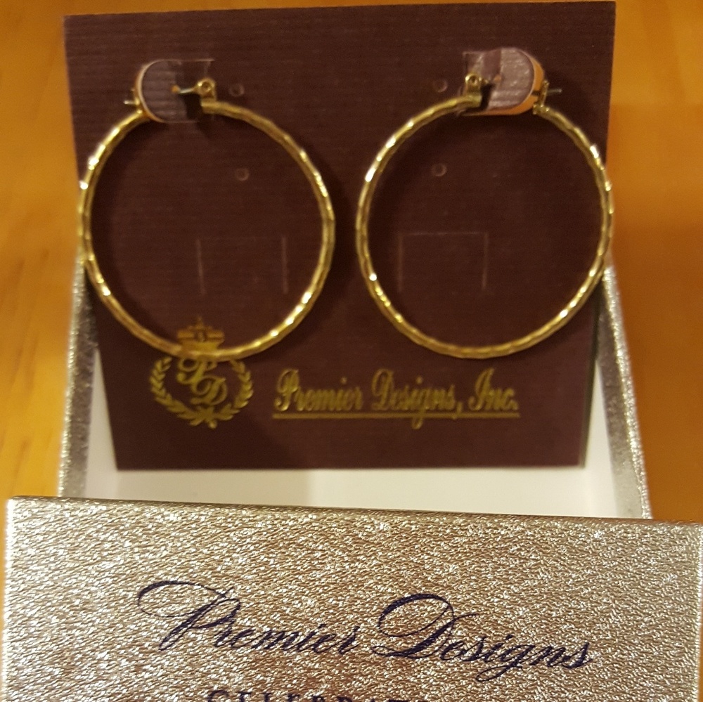 Premier Designs  Woodstock hoop earings